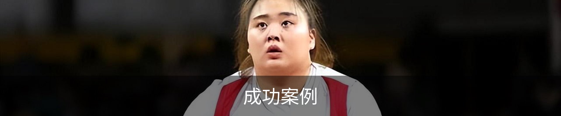 成功案例